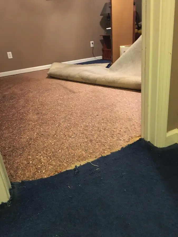 Carpet pad removal revealing water damage during Drying & Dehumidification in Moline